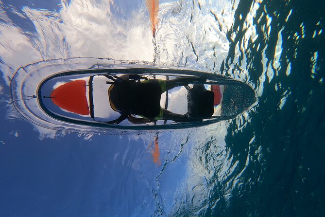Clear Kayaking, Sea Scooters Adventure - Clear kayaking over Cozumel’s sea life