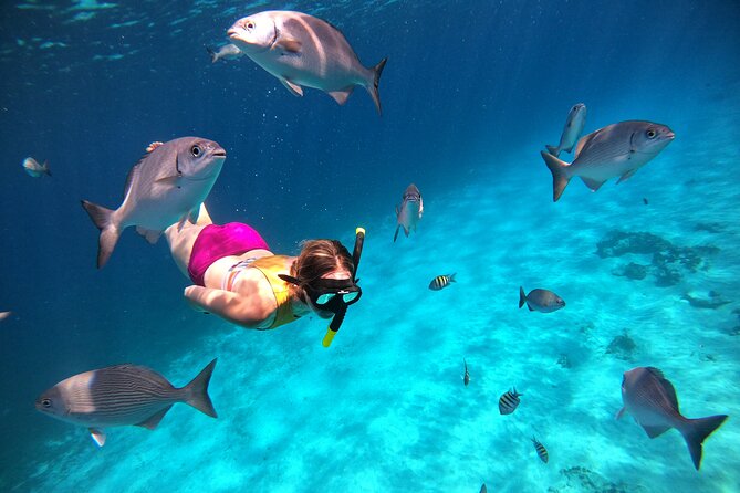 Colombia, Palancar & Cielo Cozumel Snorkel Tour - Ceviche, fruit and drinks at the final stop