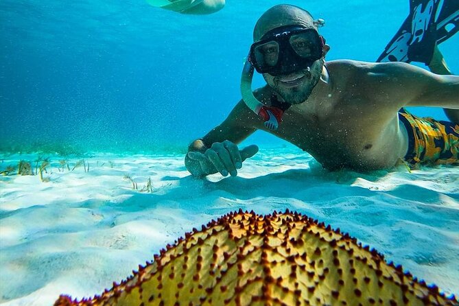 Colombia, Palancar & Cielo Cozumel Snorkel Tour - Reef protection and what to wear
