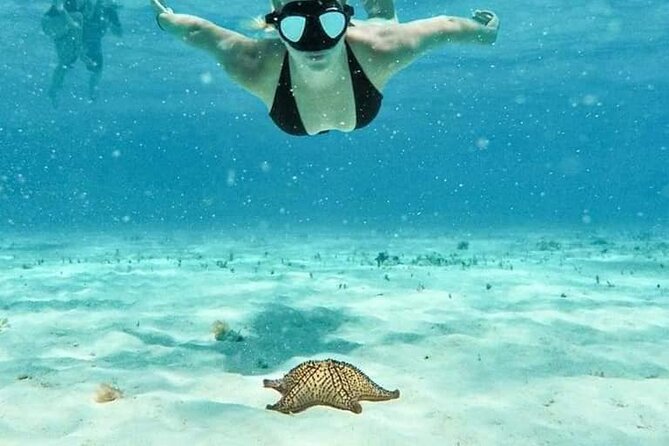Cozumel 4 Hour Boat Sky Tour - Four hours of Cozumel’s shallow reefs and sandbars