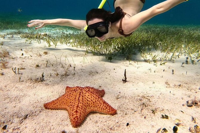 Cozumel 4 Hour Boat Sky Tour - What the $68.39 price really covers