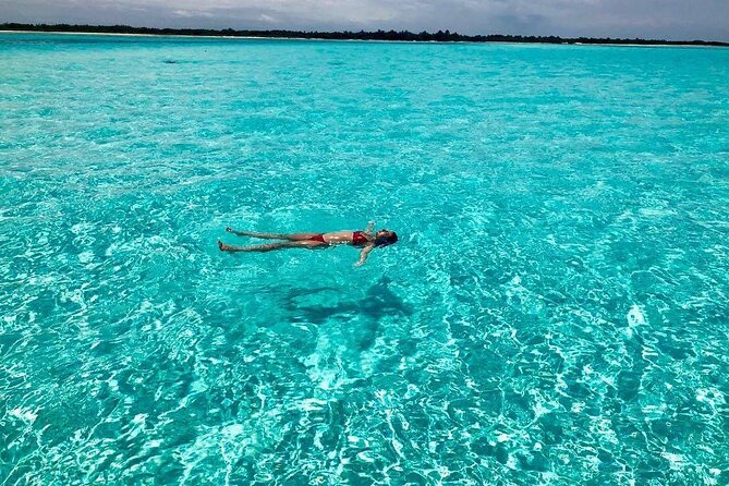 Cozumel 4 Hour Boat Sky Tour - Weather, schedule changes, and what to pack