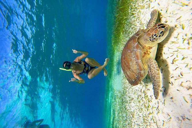 Cozumel 4 Hour Boat Sky Tour - Who will get the most from this boat tour