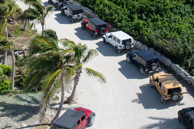 Cozumel 4x4 Adventure Punta Sur and Virgin Beach All Inclusive - What the tequila tasting adds