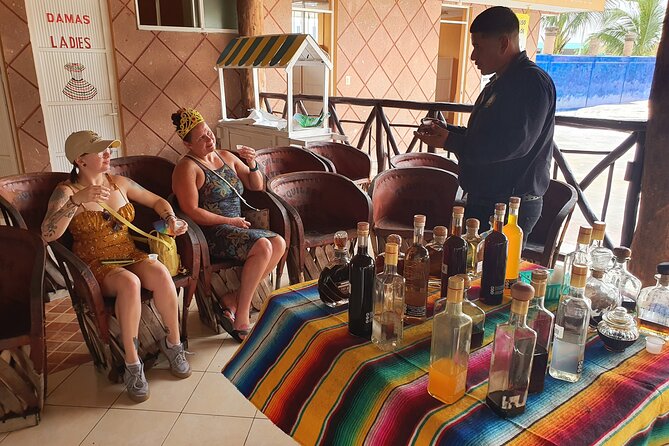 Cozumel 5-Hour Private Bar Crawl Tour - Why the private vehicle matters
