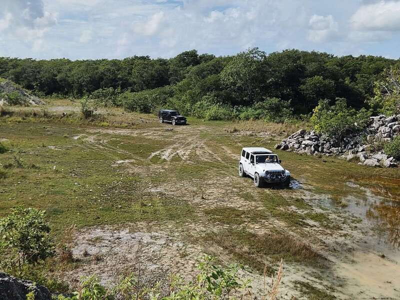 Cozumel: 5-Hour Private Caves and Ruins Tour with Lunch - Pickup details that matter for cruise passengers