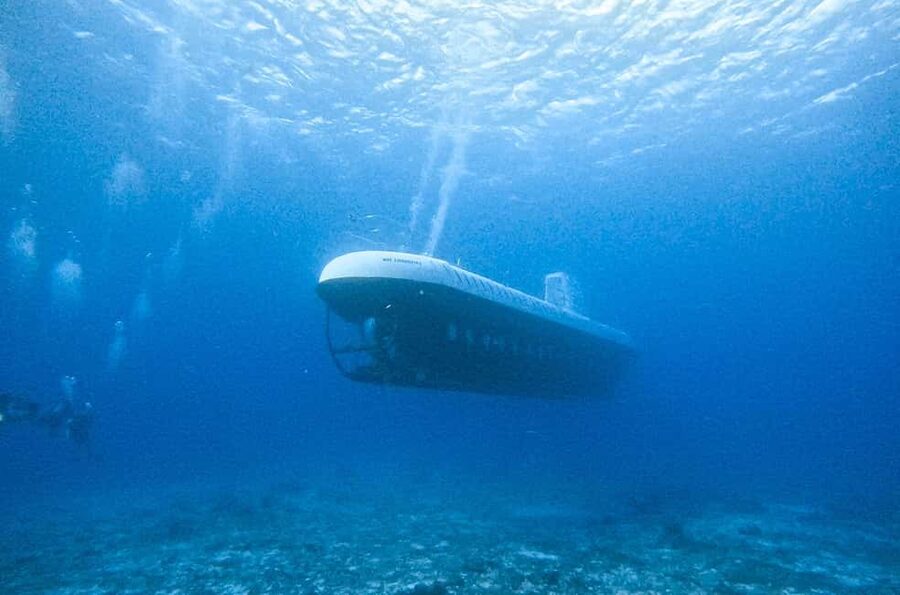 Cozumel: Atlantis Submarine Adventure - Starting at the Atlantis base near Casa del Mar