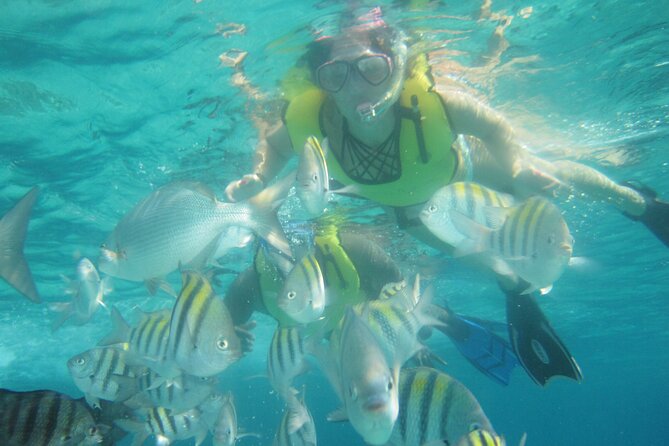Cozumel Beach + Snorkeling Time - Mexican lunch with several easy choices