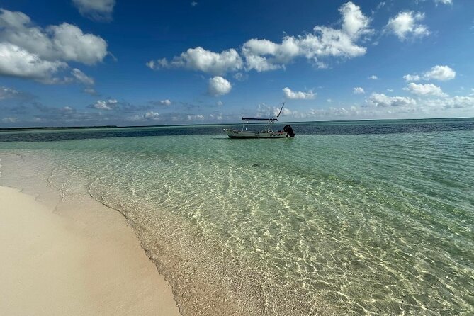 Cozumel Buggy Island Adventure Punta Sur Park &Scenic Island Tour - Why the southern end of Cozumel is worth your morning
