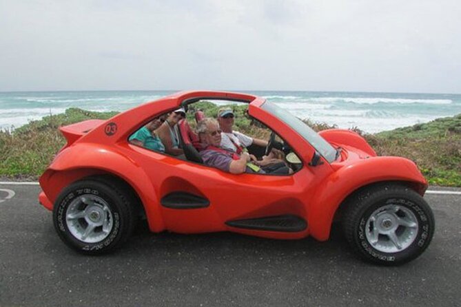 Cozumel Buggy Island Tour, Otoch Mayan Experience & Clear Boat - Lunch, drinks, and what is actually included