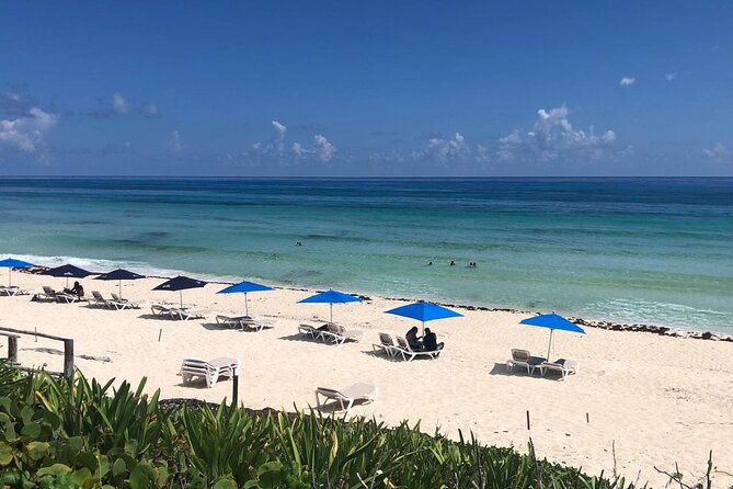 Cozumel Buggy Tour: Snorkeling , Otoch Mayan Experience & Lunch - SkyReef snorkeling in Arrecifes de Cozumel National Park