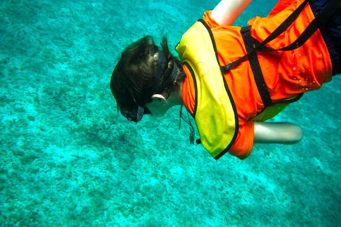 Cozumel Buggy Tour: Snorkeling , Otoch Mayan Experience & Lunch - Otoch Mayan Experience and the tasting session