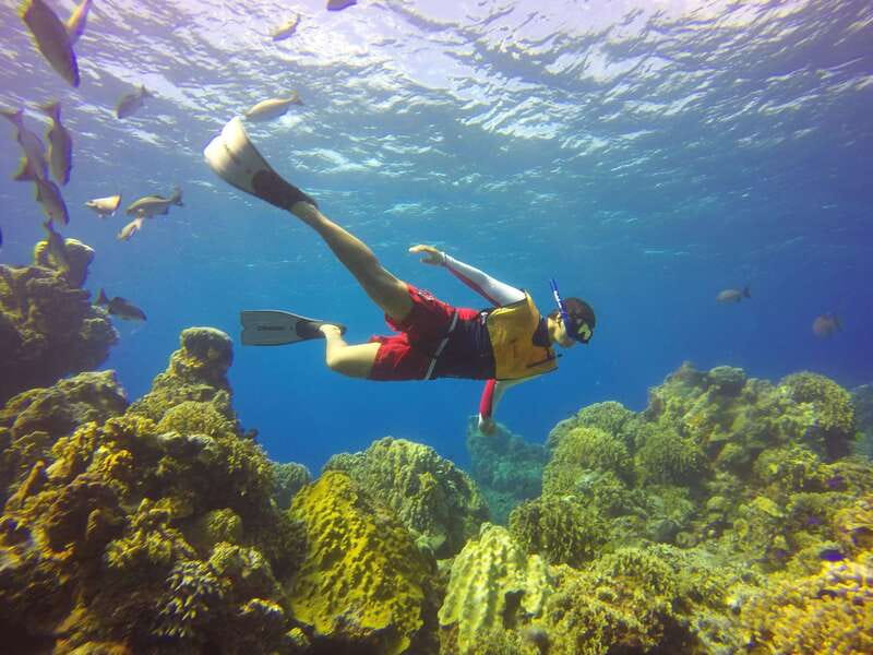 Cozumel: Catamaran, El Cielo Bay & Palancar Reef with Lunch - Why this Cozumel outing works