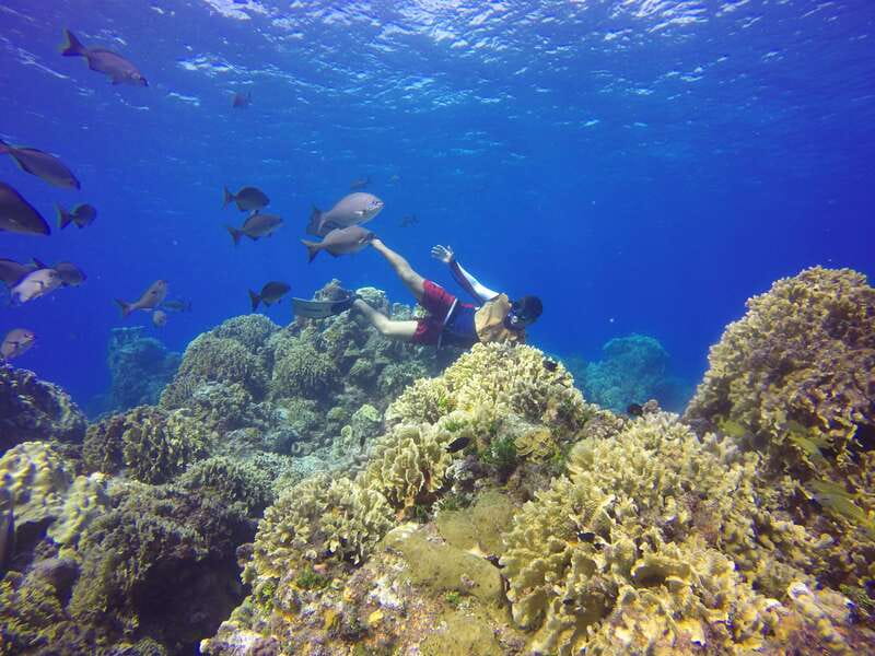 Cozumel: Catamaran, El Cielo Bay & Palancar Reef with Lunch - Who should book this outing