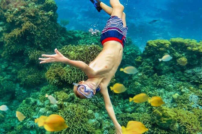 Cozumel Catamaran Experience with Snorkeling & Beach Club - Sailing south from downtown Cozumel