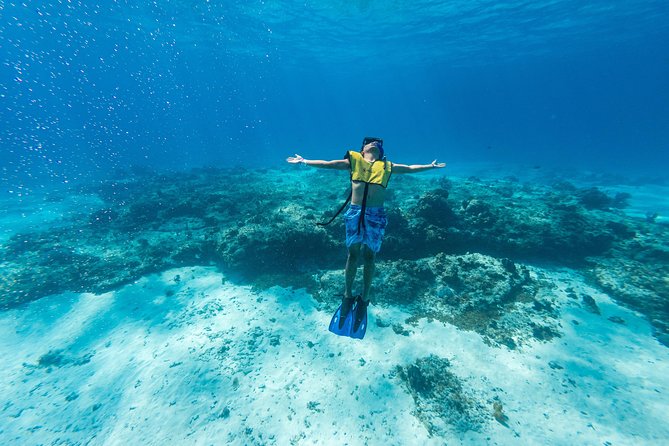 Cozumel Catamaran Snorkeling Tour & lunch® - A six-hour sampler of Cozumel’s best water stops