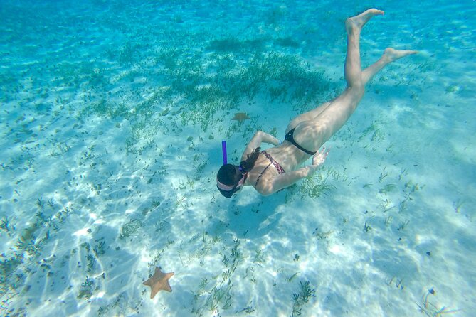 Cozumel Catamaran Snorkeling Tour & lunch® - El Cielito’s clear, shallow sandbar