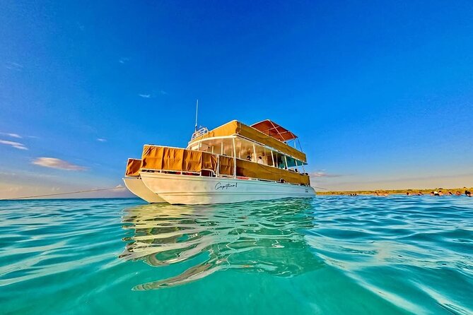Cozumel Catamaran Tour: Snorkel at Top Reefs & Open Bar - Columbia Reef: the first real snorkeling test