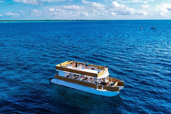 Cozumel Catamaran Tour: Snorkel at Top Reefs & Open Bar - El Cielo: shallow water, starfish, and a long pause