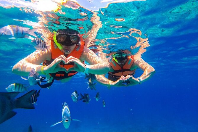 Cozumel Catamaran Tour: Snorkel at Top Reefs & Open Bar - Who will enjoy this Cozumel excursion?