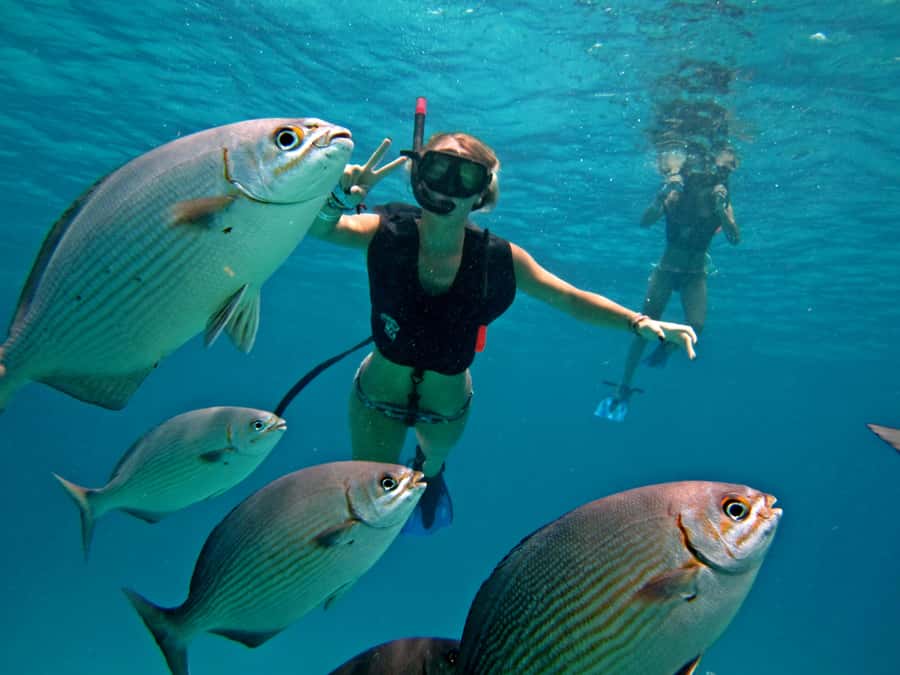 Cozumel: Chankanaab Park Admission+ Snorkel+ Welcome drink - Key points to know before you go