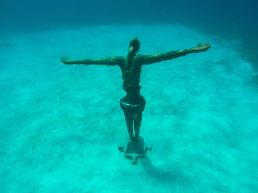 Cozumel: Chankanaab Park Admission+ Snorkel+ Welcome drink - What the Chankanaab package really includes
