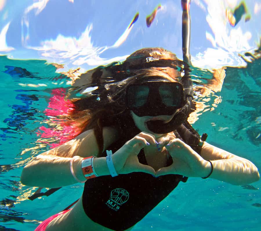 Cozumel: Chankanaab Park Admission+ Snorkel+ Welcome drink - The guided snorkel and the reef