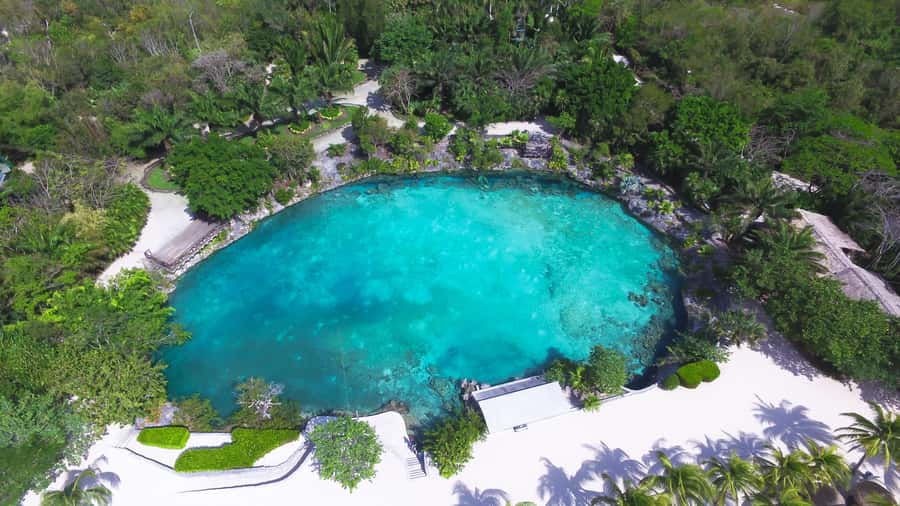 Cozumel: Chankanaab Park Admission+ Snorkel+ Welcome drink - Gardens, Mayan replicas, and the sea lion show