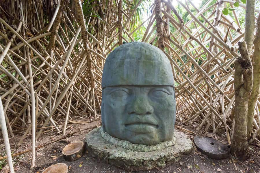 Cozumel: Chankanaab Park Admission+ Snorkel+ Welcome drink - Who will get the most from the $33 price