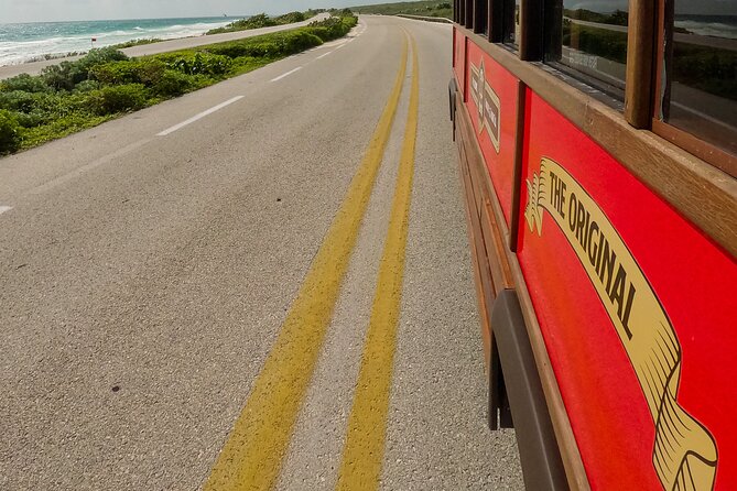 Cozumel City Tour By Trolley - Who will enjoy this most?