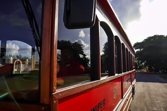 Cozumel City Tour By Trolley - Shopping near the main square