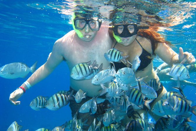 Cozumel Coral Reef Snorkeling by Glass Bottom Boat with Guide - What the guides add to the experience