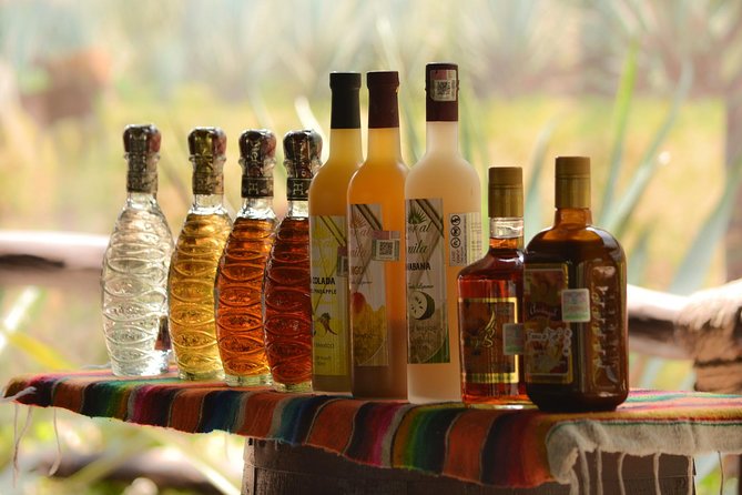 Cozumel Cultural Jeep Tour with Mayan Village and Mexican Lunch - Weather, comfort, and what to pack