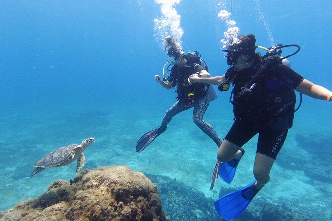 Cozumel: Discover Scuba Diving - From Marina Asipona to Palancar Reef
