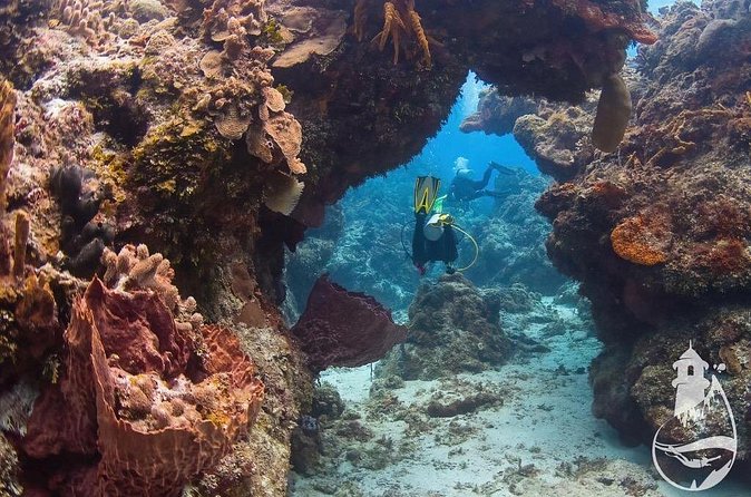 Cozumel: Discover Scuba Diving - Who Should Book This Experience