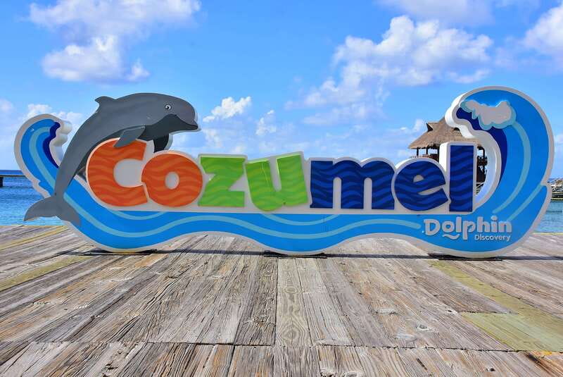 Cozumel: Dolphin Royal Connection and Manatee Interaction - What the $135 Cozumel package really includes