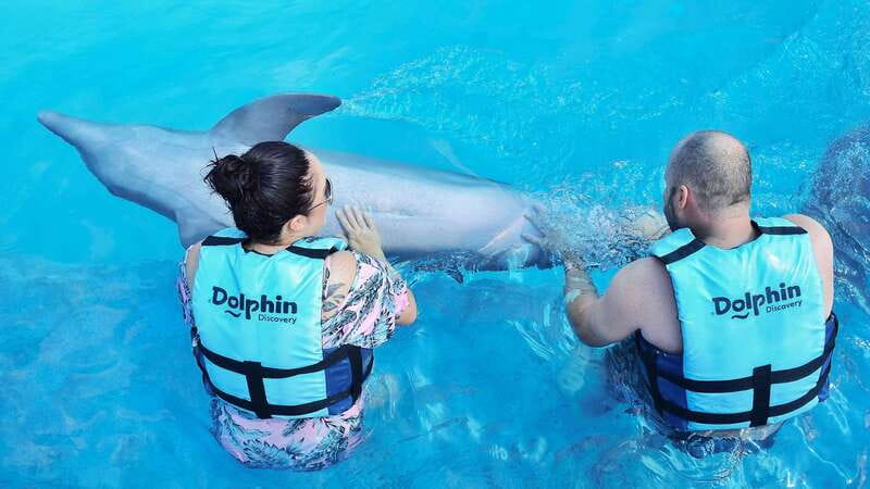 Cozumel: Dolphin Royal Connection and Manatee Interaction - Why group size can make a difference