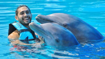 Cozumel: Dolphin Royal Connection and Manatee Interaction