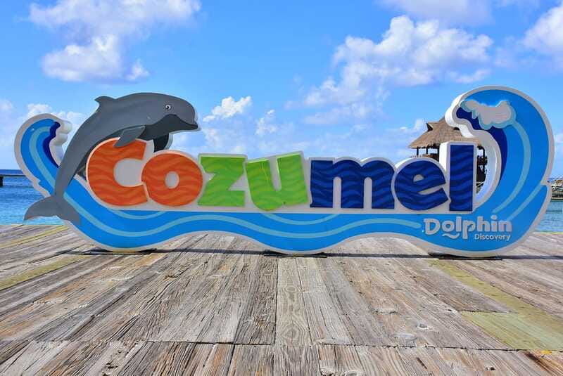 Cozumel: Dolphin Royal Connection and Manatee Interaction - The practical rules that affect your visit