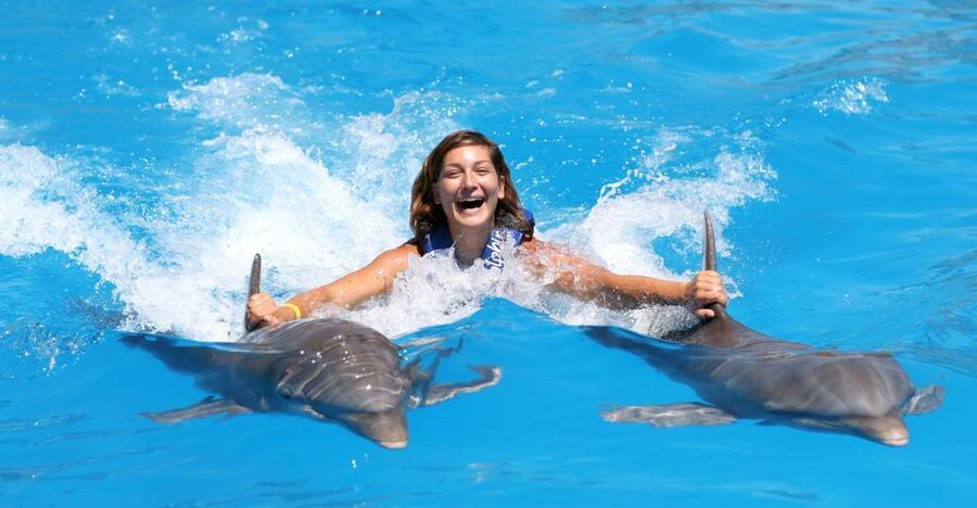 Cozumel: Dolphin Royal Connection and Manatee Interaction - Should you book the Cozumel Royal Swim?