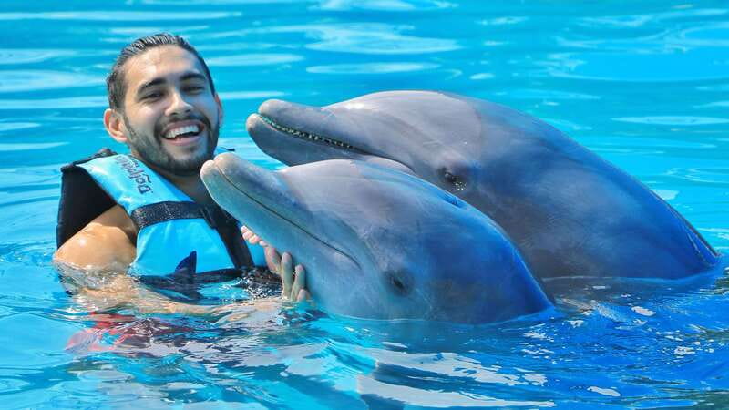 Cozumel: Dolphin Royal Connection and Manatee Interaction - Starting with the 40-minute Royal Swim