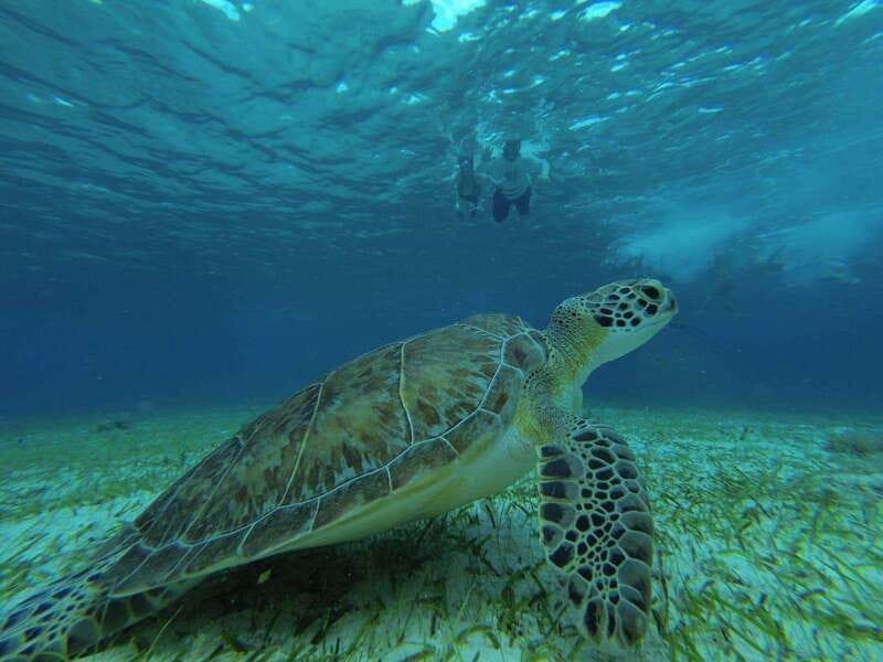 Cozumel, El Cielo: 4-Hour Private Tour - Is $641 good value for your group?