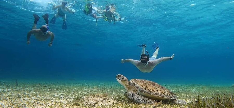 Cozumel, El Cielo: 4-Hour Shared Snorkeling Tour - What the four-hour Cozumel trip is really about