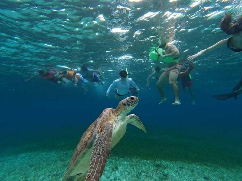 Cozumel, El Cielo: 4-Hour Shared Snorkeling Tour - What is included for $67?