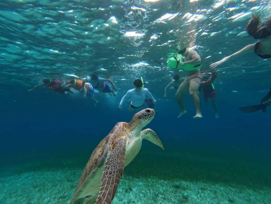 Cozumel, El Cielo: 4-Hour Shared Snorkeling Tour - Palancar Reef: the first major underwater stop