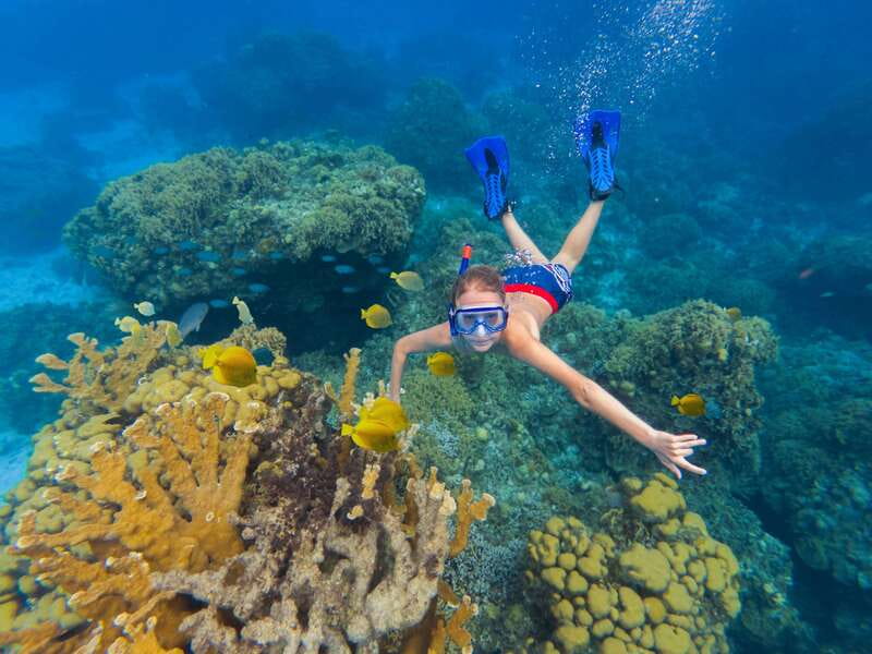 Cozumel: El Cielo, Palancar Reef, and Beach Party with Food - El Cielo’s Shallow Sandbar and Starfish Waters