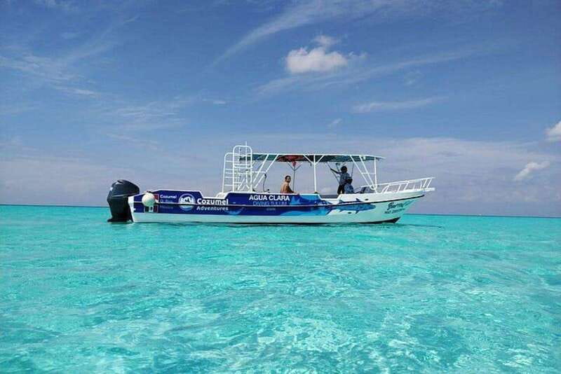 Cozumel El Cielo Sandbar and Reef Snorkeling Tour - El Cielo Sandbar and its starfish