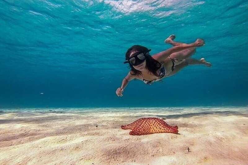 Cozumel: Glass-bottom Boat Snorkeling Adventure - What I would expect from the guide