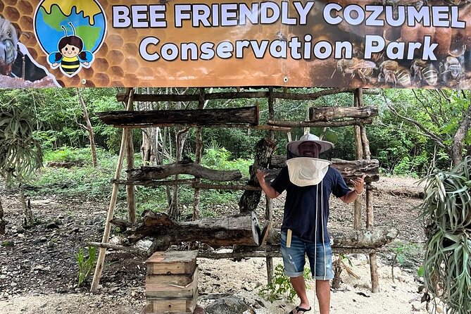 Cozumel: Hands-On Chocolate, Tortilla, Salsa & Honey Experience - Key things to know before you book