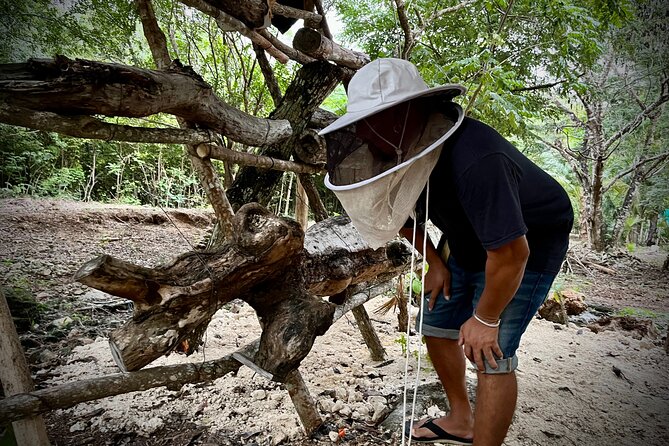 Cozumel: Hands-On Chocolate, Tortilla, Salsa & Honey Experience - Arriving at Tierra Maya and setting your pace